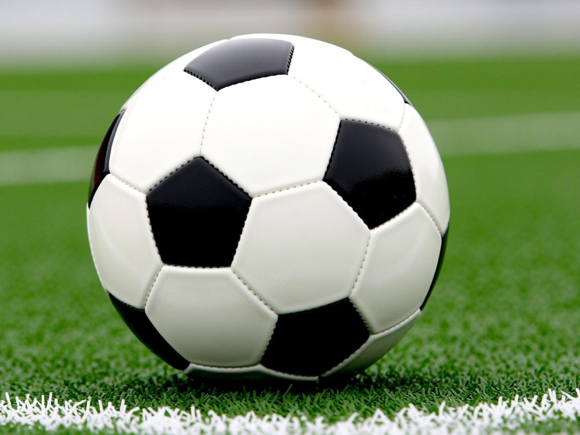 开云体育-“2025世界游泳锦标赛：水上芭蕾展示别样优雅与力量”  第3张