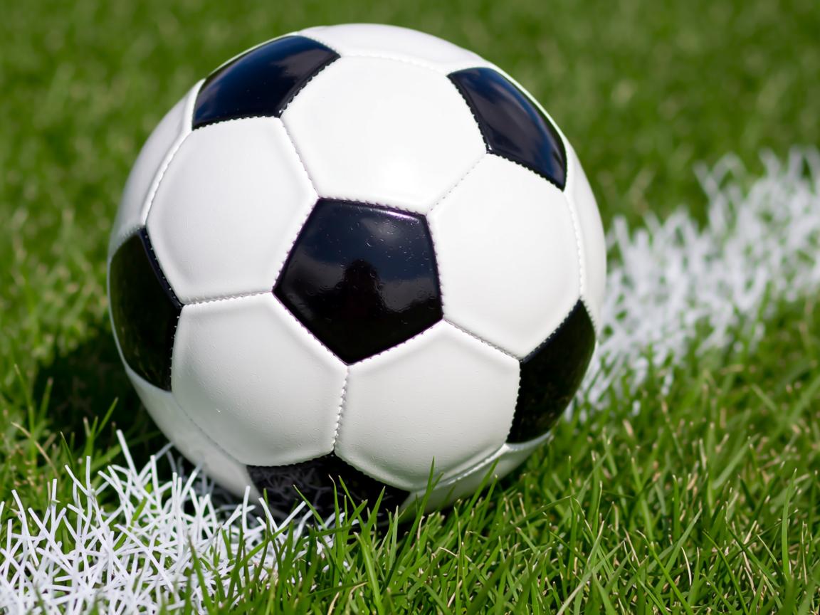 开云体育在线-“2025世界游泳锦标赛：谁能成为泳坛的下一个传奇？”  第3张