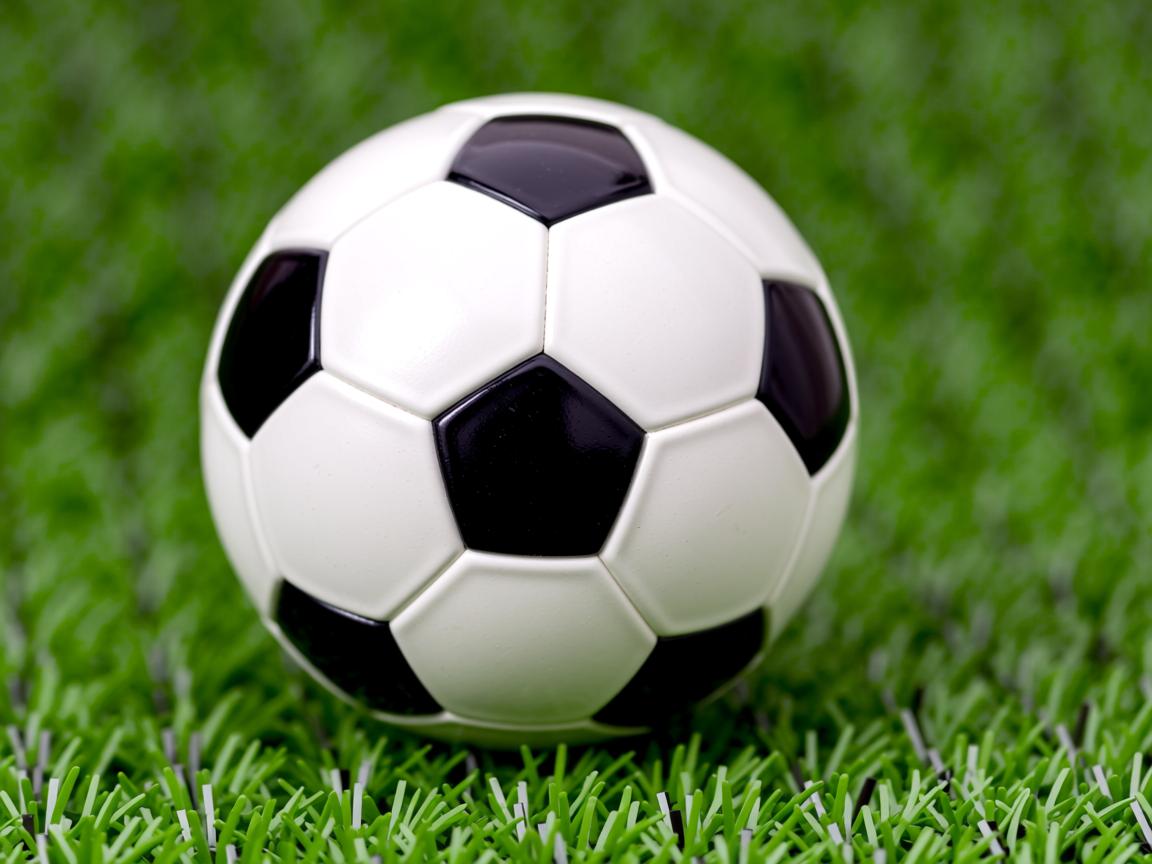 开云体育官网在线-体育文化研究论文集出版引发业内讨论,体育文化导刊2021 第2张